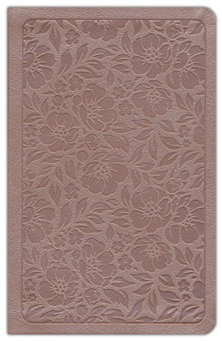 KJV Personal-Size Bible--soft leather-look, rose gold