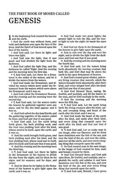 KJV Personal-Size Bible--soft leather-look, rose gold