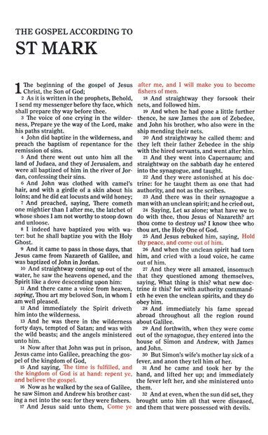 KJV Personal-Size Bible--soft leather-look, rose gold