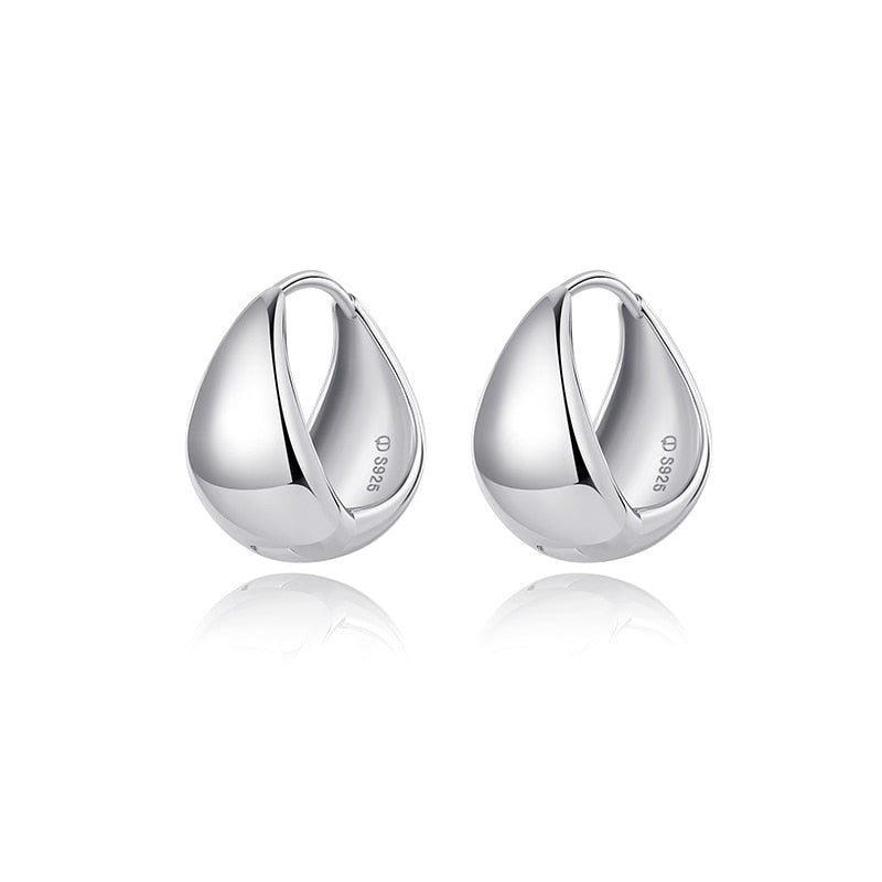 Philippians 4:19 - 925 sterling silver earrings feminine high-end silver jewelry glossy earrings earrings earrings fashion versatile jewelry