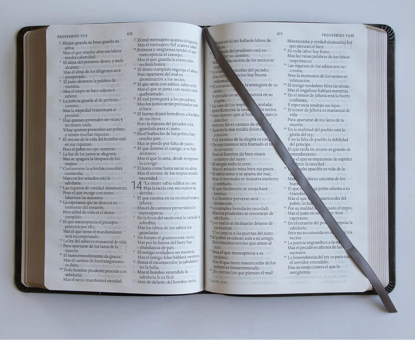 Biblia RVR 1960 letra grande tamaño manual, simil piel gris con nombres de Dios