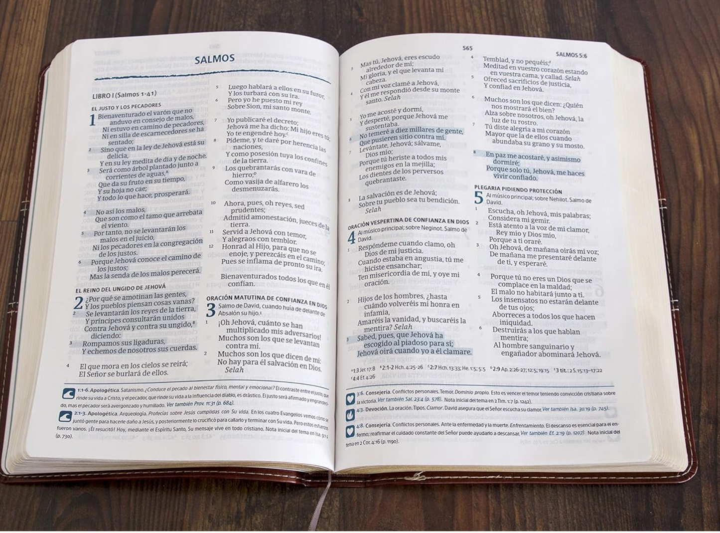 Reina Valera 1960 Biblia del Pescador, letra grande, caoba simil piel